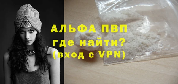 стаф Инсар