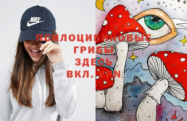 мет Каменногорск
