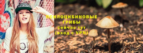 MDMA Premium VHQ Каменск-Шахтинский