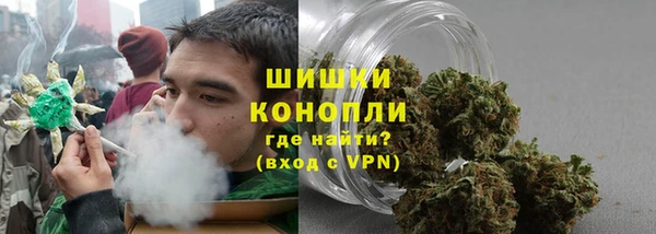стаф Инсар