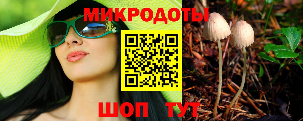 Псилоцибиновые грибы MAGIC MUSHROOMS Курганинск